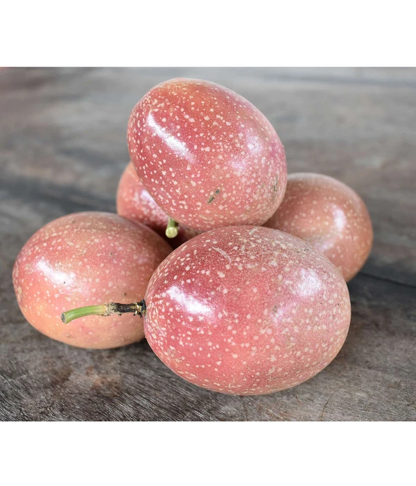Passionsfrucht 3 Passionsfrucht