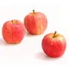 Herbstapfel 'Gala' 1 Herbstapfel 'Gala' -Dehner 7645880 WE DE 005 ApfelGalaDehnerExpressHerzig