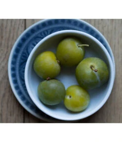 Dehner Reneklode 'Große Grüne Reneklode'