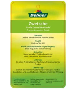 Dehner Reneklode 'Große Grüne Reneklode' -Dehner 7657802 ReneklodeGrosseGrueneReneklode Etikett 2