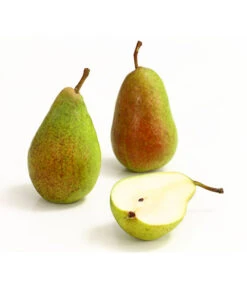 Sommerbirne 'Gute Luise' -Dehner 7658578 WE DE 006 BirneGuteLuiseDehnerExpressHerzig