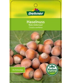 Dehner Haselnuss 'Rote Zellernuss' -Dehner 7663073 HaselnussRoteZellernuss Etikett 1