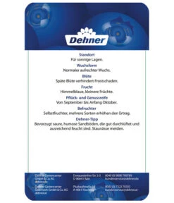 Heidelbeere 'Elliot' -Dehner 7665227 HeidelbeereElliot Etikett 2