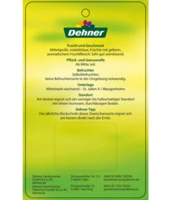 Zwetschge 'Katinka' -Dehner 7693252 ZwetscheKatinka Etikett 2