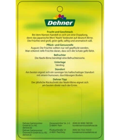 Nashi-Birne 'Nijiseiki' -Dehner 7719826 Nashi BirneNijiseiki Etikett 2