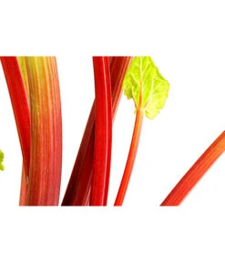 Dehner Gourmet Garten Himbeer-Rhabarber -Dehner 7736028 PR DE 002 RhabarberHimbeere2LiterDehnerExpressHerzig