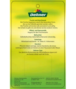 Dehner Tellerpfirsich -Dehner 7763378 Tellerpfirsich Etikett 2
