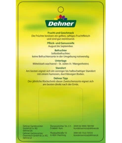 Zwetschge 'Kulinaria-Toptaste' -Dehner 7763881 ZwetscheKulinariaToptaste Etikett 2