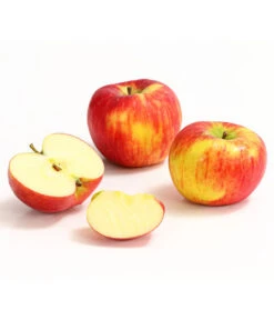 Herbstapfel 'Topaz' -Dehner 7763931 WE DE 008 ApfelTopazDehnerExpressHerzig