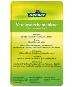 Herbstbirne 'Vereinsdechant' 11 Herbstbirne 'Vereinsdechant' -Dehner 7772064 BirneVereinsdechant Etikett 2