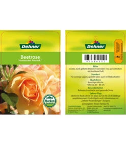 Beetrose 'Hansestadt Rostock®' 9 Beetrose 'Hansestadt Rostock®' -Dehner 7866551 HansestadtRostockBeetrose Etikett1