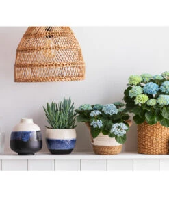 Dehner Seegras-Korb Ida, Rund 9 Dehner Seegras-Korb Ida, Rund -Dehner 8203994 668948 6689855 WE MO 001 HortensieMagicalTopfMaritim