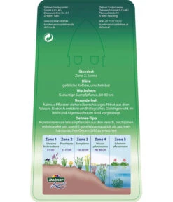 Dehner Kalmus -Dehner 8310104 KalmusAcorusCalamus Etikett 2