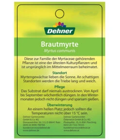 Brautmyrte, Busch -Dehner 8590267 BrautmyrtheEtikett2