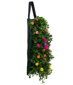 Wandhänger Mit Portulakröschen, Verschiedene Sorten -Dehner 8602997 WE FS 001 WandhaengerPortulakroeschenBunt