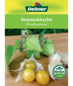 Dehner Ananaskirsche Physalis -Dehner 8830069 Ananaskirsche Etikett 1
