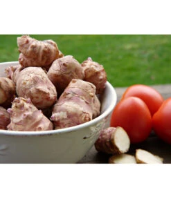 Topinambur 10 Topinambur -Dehner 8830184 PR MO 001 TopinamburPixabay