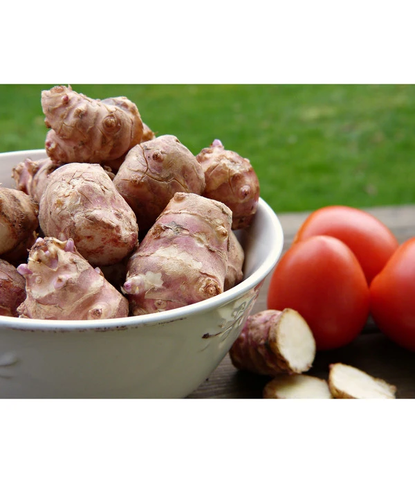 Topinambur 6 Topinambur – Bild 4