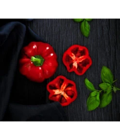 Dehner Gourmet Garten Tomatenpaprika -Dehner 8831562 WE MO 001 TomatenpaprikaRenner