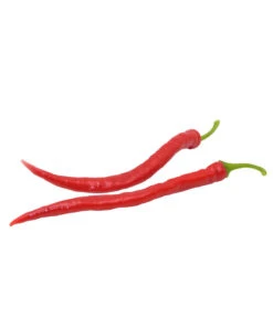 Milde Peperoni -Dehner 8831695 WE FS 002 mildepeperoni