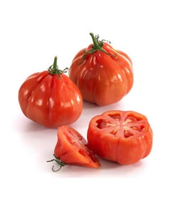 Ochsenherztomate 'Fleurette' -Dehner 8832883 WE DE 001 Ochsenherztomate