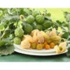 Dehner Ananaskirsche Physalis 1 Dehner Ananaskirsche Physalis -Dehner 8837965 WE MO 001 GourmetAndenbeereGoldvital