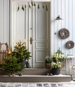 Dehner Kranz Weinrebe Frost, Ca. Ø48 Cm 7 Dehner Kranz Weinrebe Frost, Ca. Ø48 Cm -Dehner 8996100 8014870 8014557 8014722 8014847 WE MO 001 AbiesNordmannianaHolzkreuzWeihnachtsbaeume