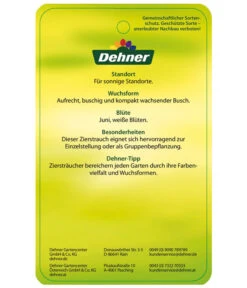 Blasenspiere 'Tiny Wine' 9 Blasenspiere 'Tiny Wine' -Dehner BlasenspiereTinyWine Etikett 2