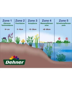 Hängende Segge - Riesen-Segge -Dehner WE DE 001 Teichzonen Wasserpflanzen Schild