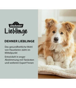 Dehner Lieblinge Tragehilfe Für Hunde -Dehner WE DE Markengrafik DehnerLieblingeVETArtikel 12