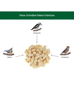 Dehner Natura Wildvogefutter Halbe/Ganze Erdnüsse, 5 L -Dehner WE IG 001 DehnerNaturaWelcherVogelfrisstErdnuesse