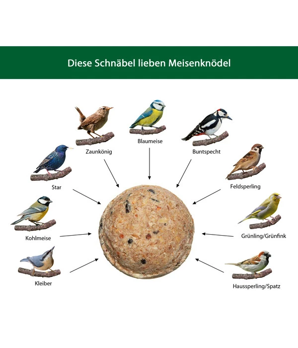 Dehner Natura Riesen-Meisen-Knödel 4 Dehner Natura Riesen-Meisen-Knödel – Bild 2