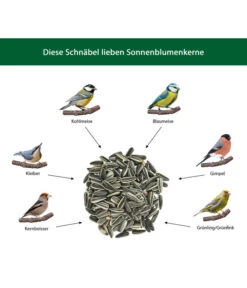 Dehner Natura Wildvogelfutter Sonnenblumenkerne, 5 L -Dehner WE IG 001 DehnerNaturaWelcherVogelfrisstSonnenblumenkerne