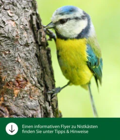 Dehner Natura Nistkasten -Dehner WE IG FlyergrafikDehnerNaturaNistkaesten 5