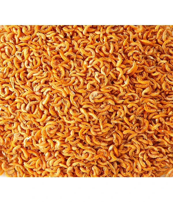 Dehner Terra Gammarus 4 Dehner Terra Gammarus – Bild 2