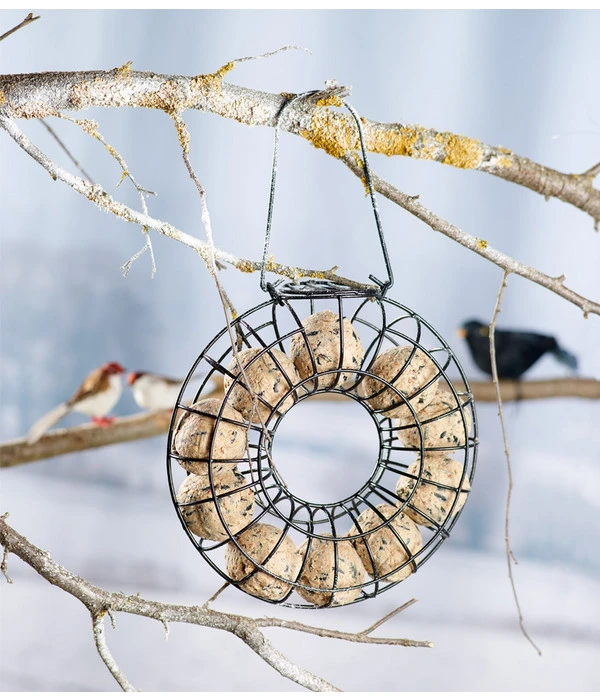 Dehner Natura Befüllter Meisenknödelring 4 Dehner Natura Befüllter Meisenknödelring – Bild 2